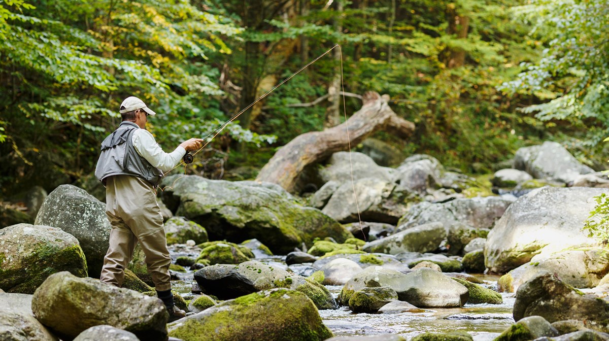 Fly fishing the Rapidan River